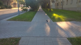 Vytauto Žeimanto nuotrauka Vytauto Žeimanto nuotrauka