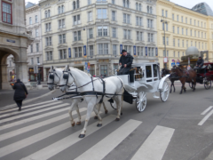 Vienoje tebeveikia senovinis transportas. Povilo Sigito Krivicko nuotrauka Vienoje tebeveikia senovinis transportas. Povilo Sigito Krivicko nuotrauka