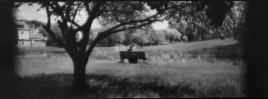 Virgilijaus Usinavičiaus-Augulio fotografija Virgilijaus Usinavičiaus-Augulio fotografija