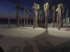 Nuotr. Alvydas Lukys Nuotr. Alvydas Lukys