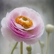 DI vizualizacija DI vizualizacija