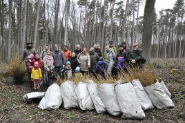 Klaipėdos žurnalistai Šernų miške pasodino apie 2000 maumedžių.Eugenijaus Maciaus nuotrauka Klaipėdos žurnalistai Šernų miške pasodino apie 2000 maumedžių.Eugenijaus Maciaus nuotrauka