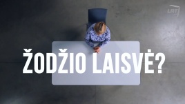 Videosiužeto akimirka